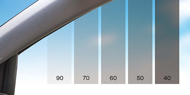 Window tint gradient scale