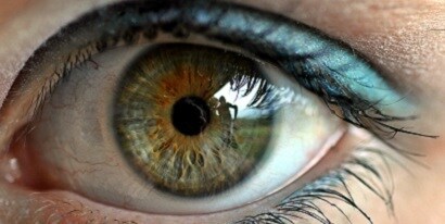 A close-up of an iris reminds us that the eye changes as we grow older, needing more time to adapt to the intensity of light.