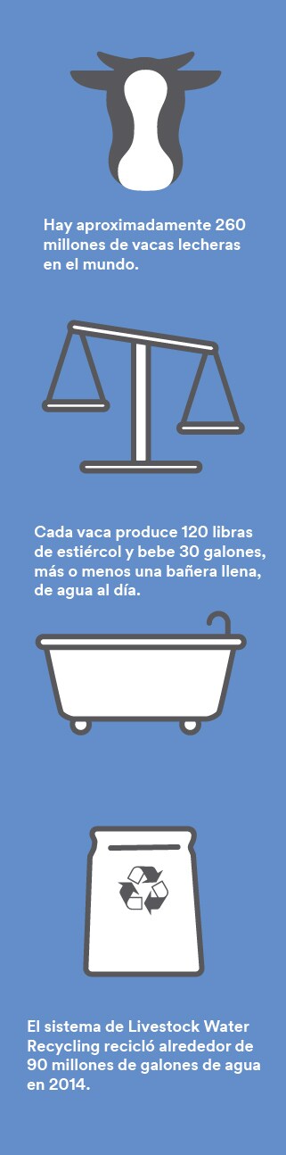 Infographic with the image of a cow and bathtub.